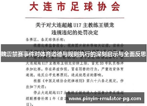 魏震禁赛事件对体育道德与规则执行的深刻启示与全面反思