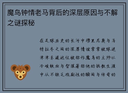 魔鸟钟情老马背后的深层原因与不解之谜探秘