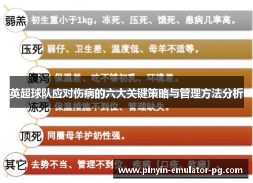 英超球队应对伤病的六大关键策略与管理方法分析