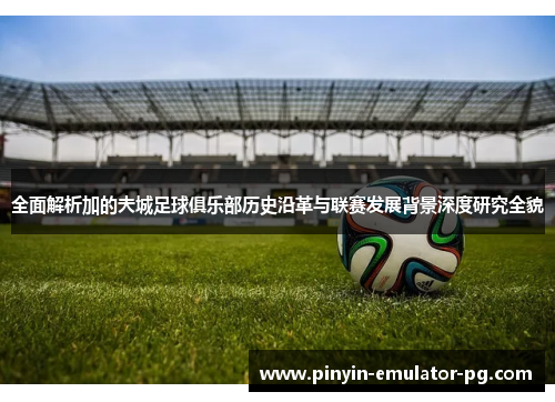 全面解析加的夫城足球俱乐部历史沿革与联赛发展背景深度研究全貌