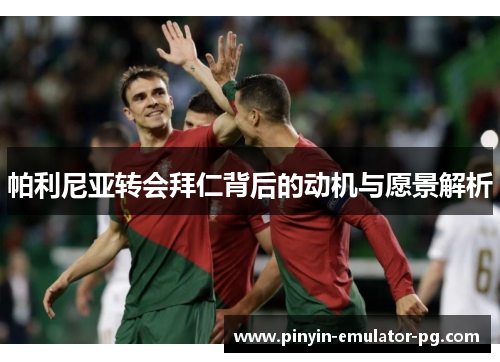 帕利尼亚转会拜仁背后的动机与愿景解析