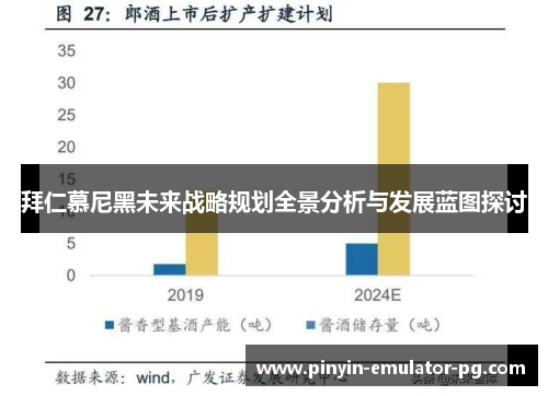 拜仁慕尼黑未来战略规划全景分析与发展蓝图探讨