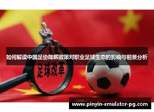 如何解读中国足协降薪政策对职业足球生态的影响与前景分析 如何解读中国足协降薪政策对职业足球生态的影响与前景分析