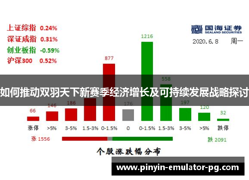 如何推动双羽天下新赛季经济增长及可持续发展战略探讨