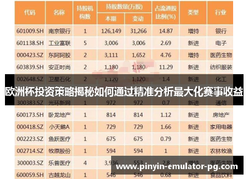 欧洲杯投资策略揭秘如何通过精准分析最大化赛事收益