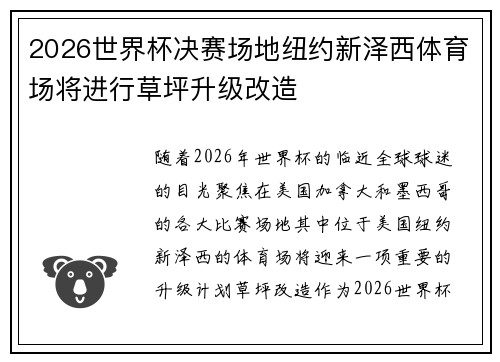2026世界杯决赛场地纽约新泽西体育场将进行草坪升级改造